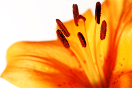cre8ive webdesign solutions - gb-Software - Plankenfels - Fr�nkische Schweiz - Lkr. Bayreuth